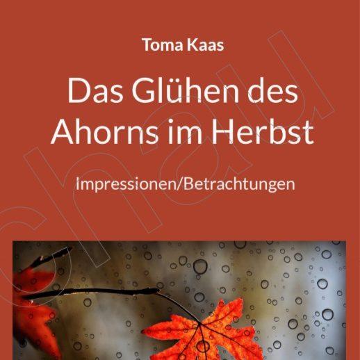 Gedichtband Tamara Kas Korrektur Gedichte